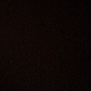 Meet your Posher, Maizy